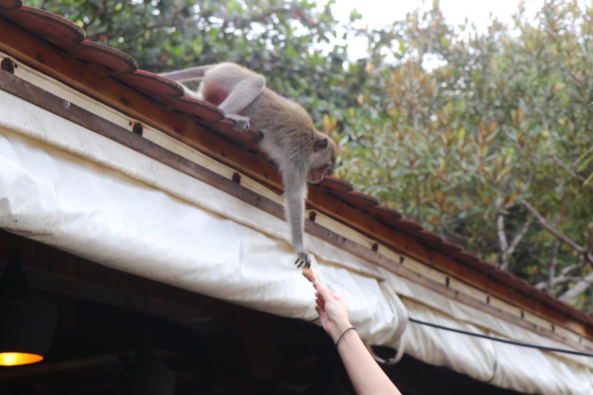 Tree House Bungalows Kaoh Touch ภายนอก รูปภาพ